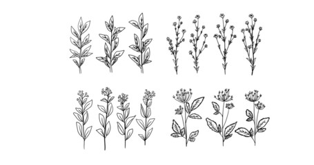 Collection of hand drawn vector black decorative plants, flowers and branches. Vector graphics, design, decor.