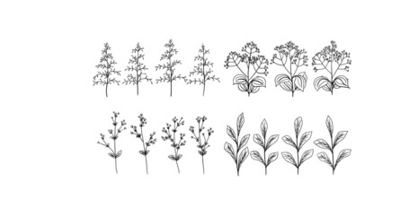 Set of hand drawn vector black decorative plants, flowers and leaves, branches. Vector graphics, design, decor.