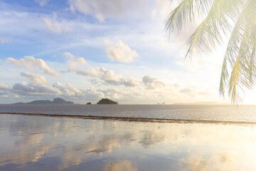 Obraz premium palm tree sea at sunset