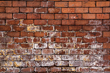 Vintage red brick wall with salt residue on the surface. Vector brick background texture