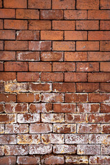 Surface covered with clay bricks with traces of salt oozing in the lower part. Vector bricks texture background