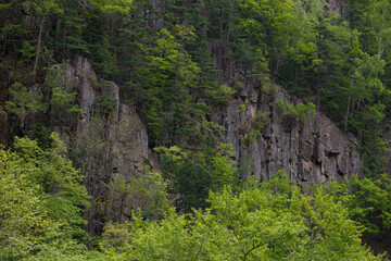 The nature of the Far East. High stone outliers stand on the slope against the background of coniferous trees. High sharp rocks against the backdrop of greenery.