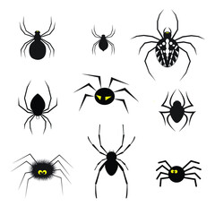 a few different forms of spiders for helloween