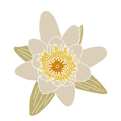 Water lily flower silhouette illustration. Isoalted on white background.