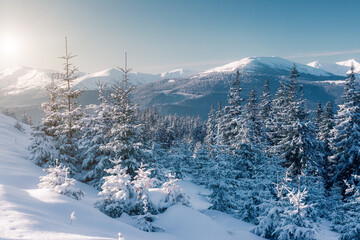 Majestic winter landscape