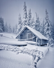 Alpine hut covered with snow. Location Ukraine, Europe.