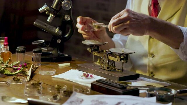 A close up Amateur Entomologist using a balance scale in his study of cicadas and their exoskeletons.