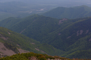 The nature of the Far East. View from a high mountain to a summer green valley.