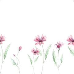 watercolor seamless border, banner, frame with pink long daisies. simple pattern, print on the theme of flowers