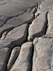 Cracks in granite in Yosemite National Park