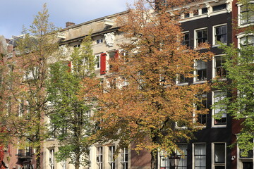 Amsterdam Keizersgracht Canal Houses View with Autumn Trees, Netherlands