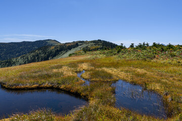 Fototapeta na wymiar 中門岳付近の湿原と会津駒ヶ岳