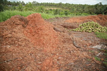 conde, bahia, brazil - october 6, 2021: composting area made with coconut shells on a farm in the...