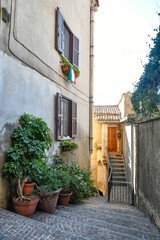 A narrow street of Ripi, a medieval town of Lazio region, Italy.