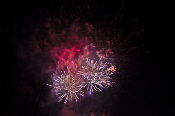 Colorful fireworks exploding in the night sky 