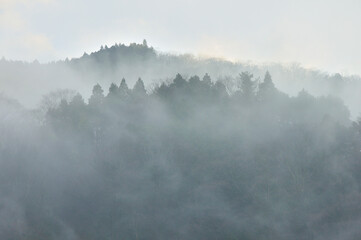 丹沢の大野山　山霧の風景