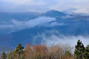 丹沢の大野山からの展望　雲湧く山稜