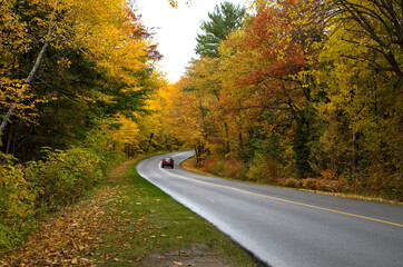 Fototapeta premium Red Car Driving on a Curvy Road with Fall Foliage