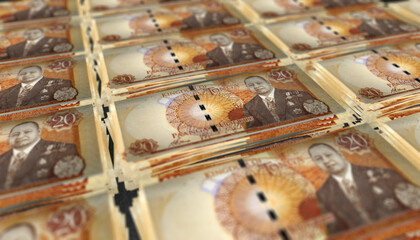 3D Bunch of 20 Tonga Paanga Money Banknote