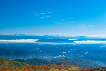 Fototapeta premium 栗駒山全山紅葉神の絨毯と山頂からの雲海の遠景