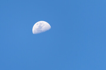 Obraz premium moon in the sky