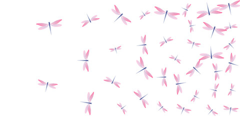 Fairy rosy pink dragonfly isolated vector illustration. Summer cute insects. Fancy dragonfly isolated baby wallpaper. Tender wings damselflies patten. Tropical creatures