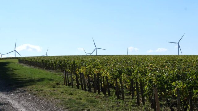 A wind turbine in Burgundy near Chablis.