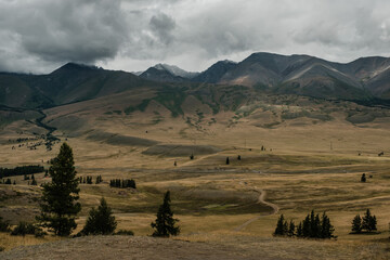 Obraz premium View of the Kurai steppes in the Altai Mountains