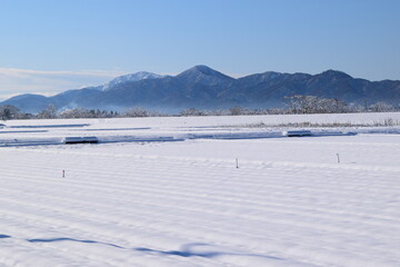 豪雪地方の雪景色 山形県庄内