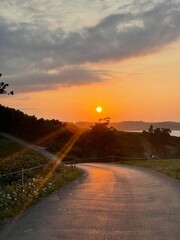 Fototapeta premium sunset on the road
