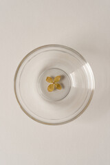 dried hydrangea flower blossoms sitting at the bottom of a clear glass dish