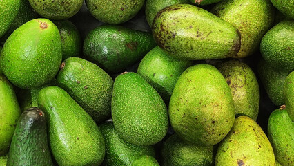 Fresh organic raw avocados. High angle view of avocado fruit