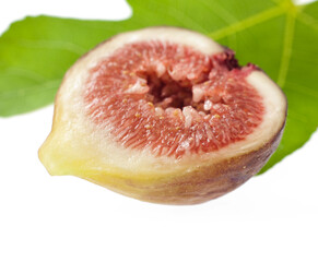 イチジク　白バック