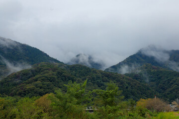 fog in the mountains