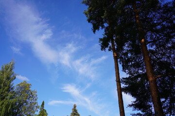 青い空、雲