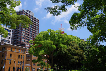 晴天の横浜公園と都市の風景