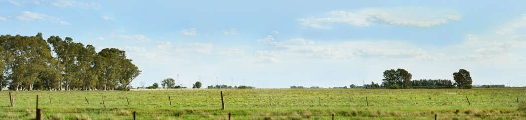 Fototapeta premium panoramic image of a rural landscape with lots of green and blue sky with some clouds
