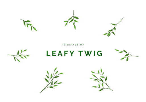 Illustration Vector Leafy Green Twig

