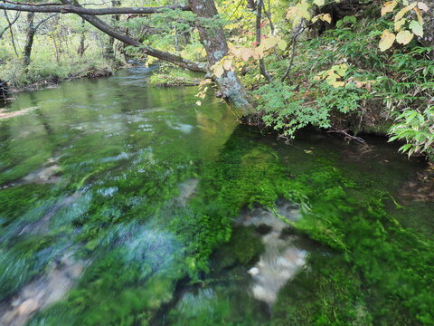 shimizu river