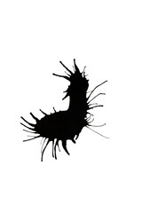 Black ink splash,brush stroke, blot isolated on white background