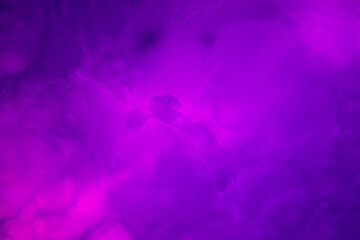 Abstract blurred gradient mesh background on purple colour. Ideal as wallpaper,banner,sale brochure...