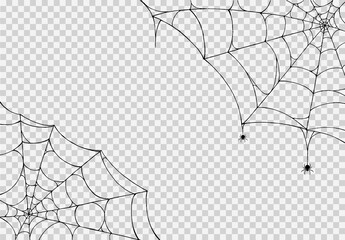 Spider hanging from spiderwebs isolated png or transparent texture, Halloween party background,blank space for text,element template for poster,brochures, online advertising,vector illustration