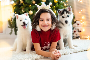 A portrait of a girl in a festive New Year's sweater lies under a Christmas tree with two puppies