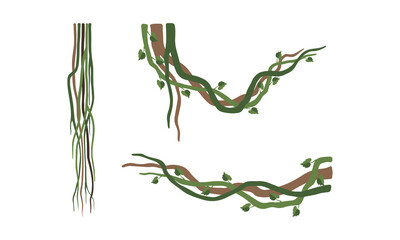 Climbing and Tangled Liana Long-stemmed Woody Vine Vector Set