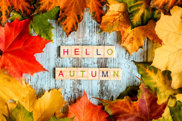 flatlay, autumn maple foliage, inscription "hello autumn" in wooden letters on the table. autumn background
