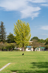 姫路城周辺の景色