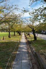 姫路城周辺の景色