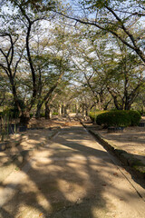 姫路城周辺の景色