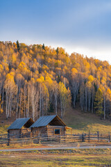 Autumn landscape of Hemu village, an ancient village in Xinjiang province, China.