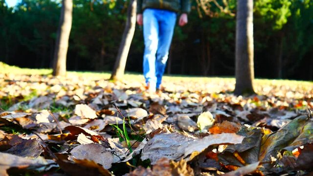 A man walks along the dry autumn foliage in the wood and scattering the leaves with his feet